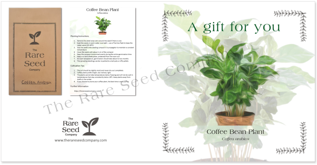 Coffee - seeds instructions gift-card