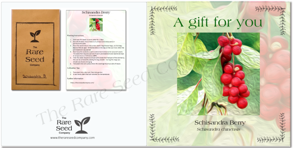 seeds instructions gift-card