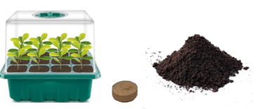 Seed Propagation Kit